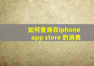 如何查询在iphone app store 的消费